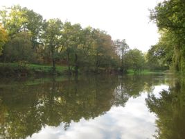 Cukrovarský rybník ve Vinoři 14.10.2014 (7).JPG
